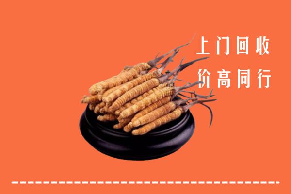 高价求购：五华区回收散虫草